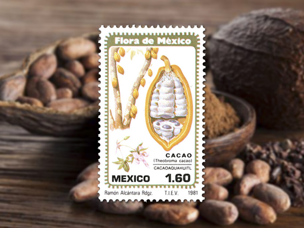 “Cacao Postal”, la nueva exposición del MUFI con sabor a chocolate